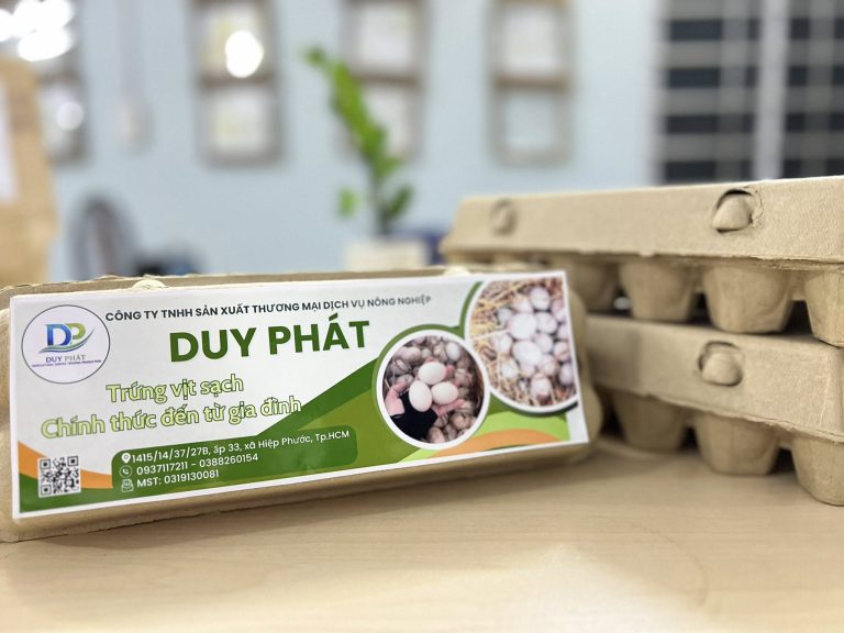 Trứng vịt sạch Duy Phát